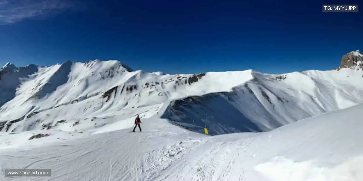 一键订阅，精彩赛事永不缺席🔔✅